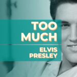 Too Much – Elvis Presley